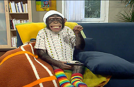 Çarli İş Başında 15. Bölüm