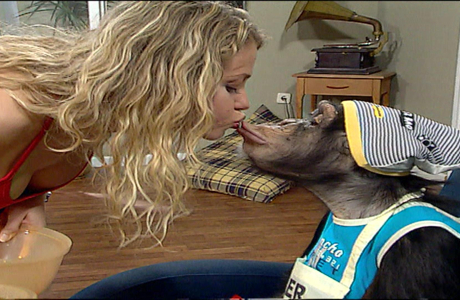 Çarli İş Başında 16. Bölüm