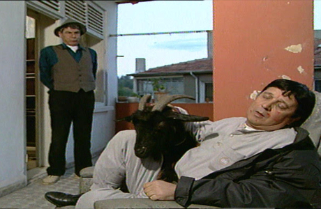 Kaygısızlar 75. Bölüm