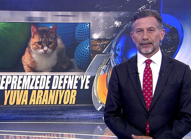 Depremzede Defne'ye yuva aranıyor!