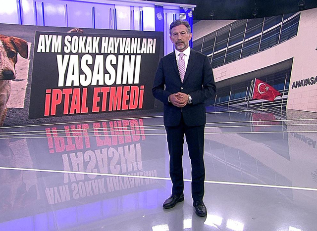 AYM sokak hayvanları yasasını iptal etmedi!