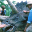 Jurassic Park Fragmanı