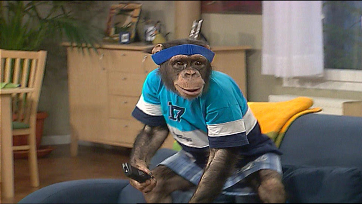 Çarli İş Başında 9. Bölüm