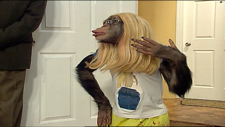 Çarli İş Başında 14. Bölüm