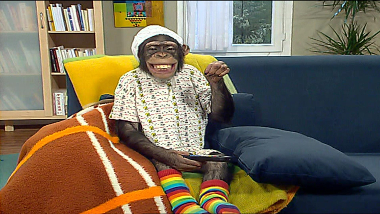 Çarli İş Başında 15. Bölüm