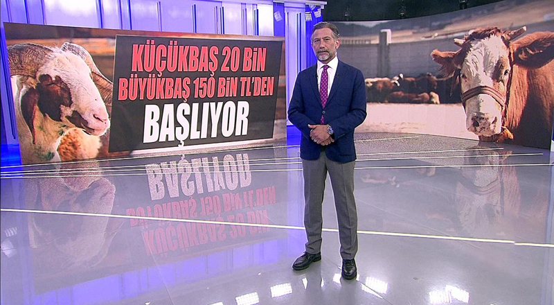 Küçükbaş 20 bin, büyükbaş 150 bin TL'den başlıyor!