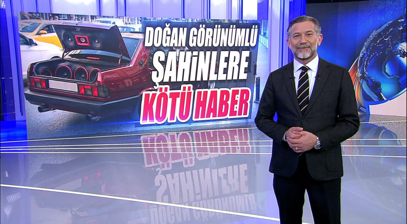Doğan görünümlü şahinlere kötü haber