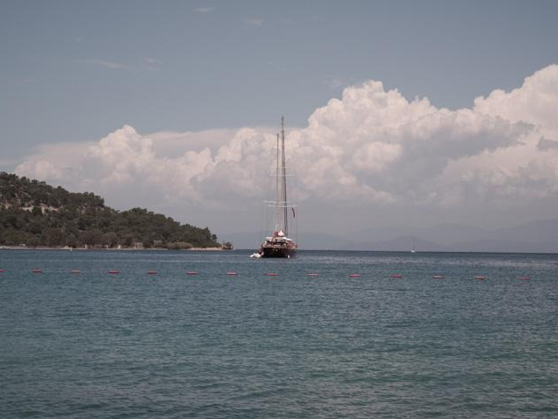 103.jpg