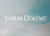 Yaprak Dökümü