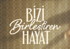 Bizi Birleştiren Hayat