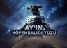 Ay’ın Köpek Balığı Yüzü